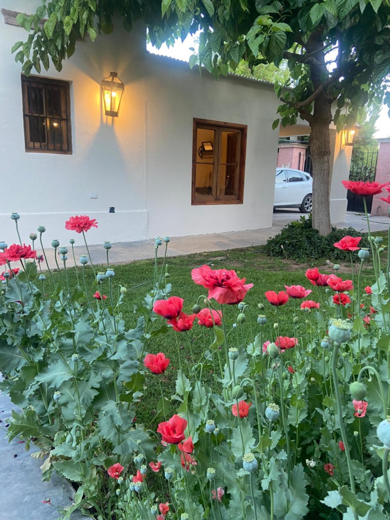 Apartamento Casa Terra Lujan de Cuyo Exterior foto